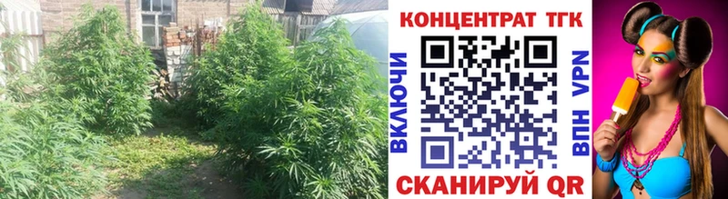 что такое   Стрежевой  кракен вход  Дистиллят ТГК вейп с тгк 